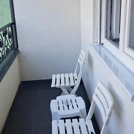 Pavle * ビイェリナ